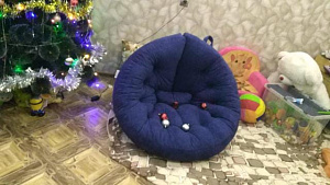 Фото покупателя, оценка 5 - 18